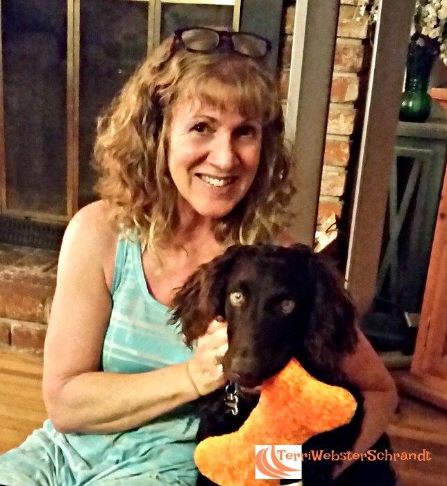 Brodie's home and missed his orange pillow.