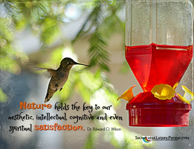 Nature holds the key to our...satisfaction. Quote