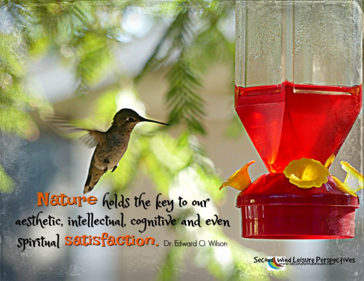 Nature holds the key to our...satisfaction. Quote