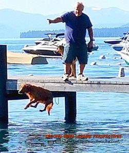 Rio Leaps from Pier!