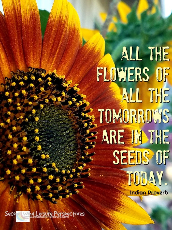 All the flowers of all the tomorrows are in the seeds of today, Indian Proverb