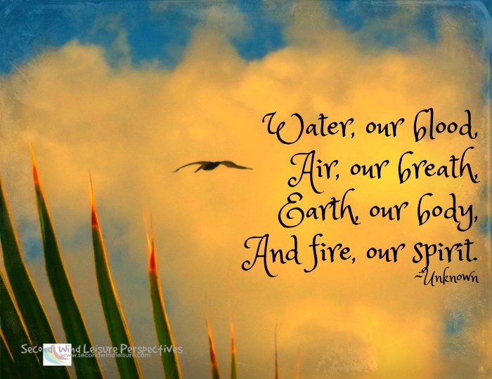 The four elements, and fire our spirit