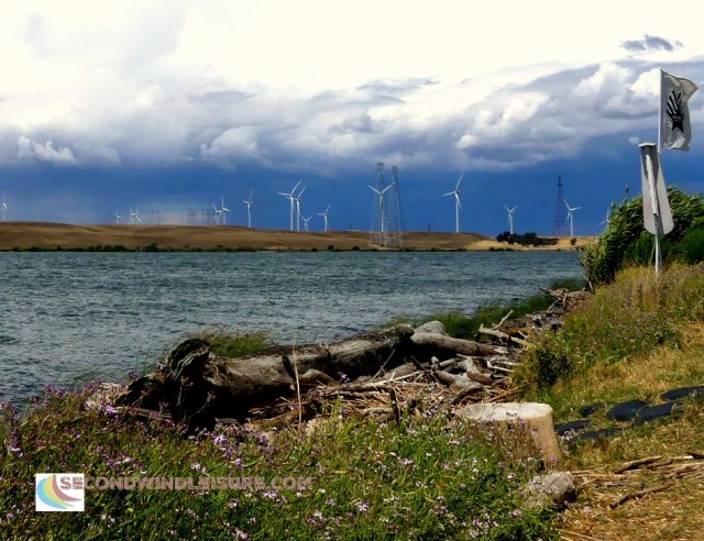 Variety of textures in the delta