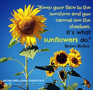 Sunflower quote by Helen Keller