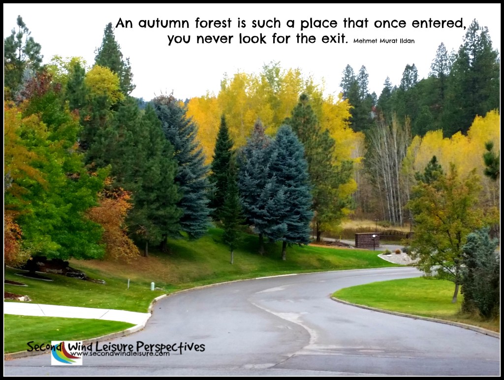 No Willing Exit in an Autumn&nbsp;Forest