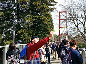 Sac State University students crowd the pedestrian bridge with their bubbles!
