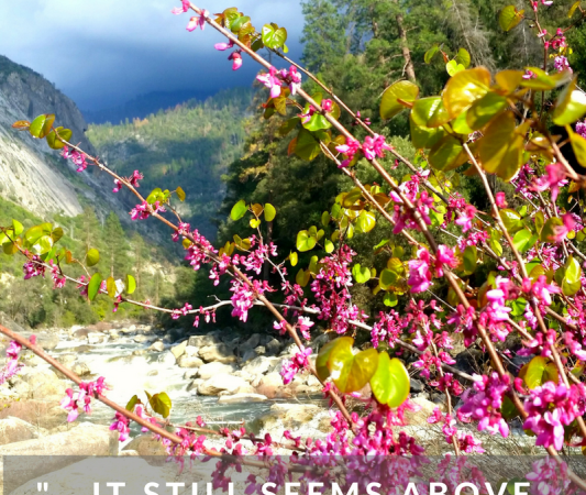 -...it still seems above all others the Range of Light.- john muir