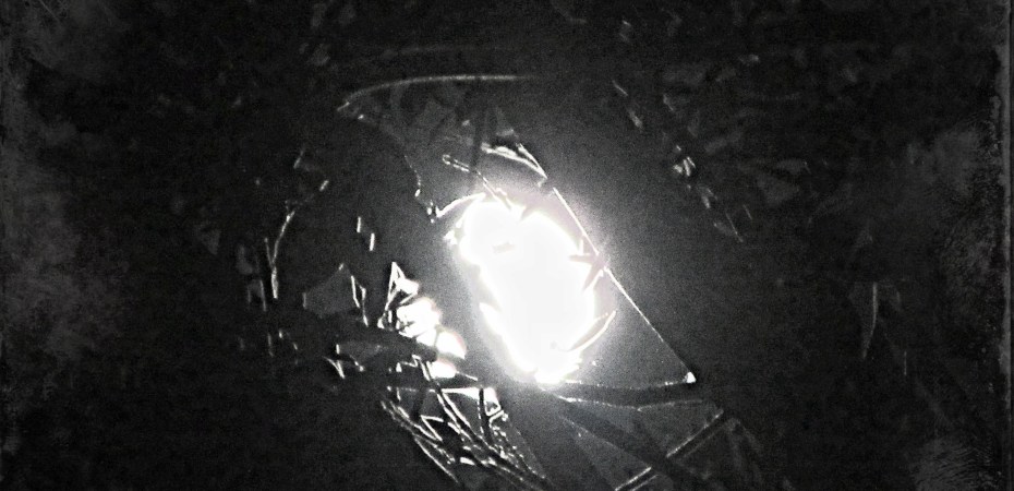 Full moon captured within the thorny branches