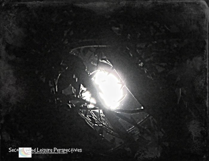Full moon captured within the thorny branches