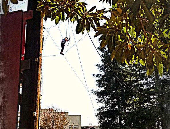 Students hanging out in the trees