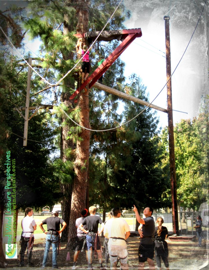 Student scales a tree showing perspective