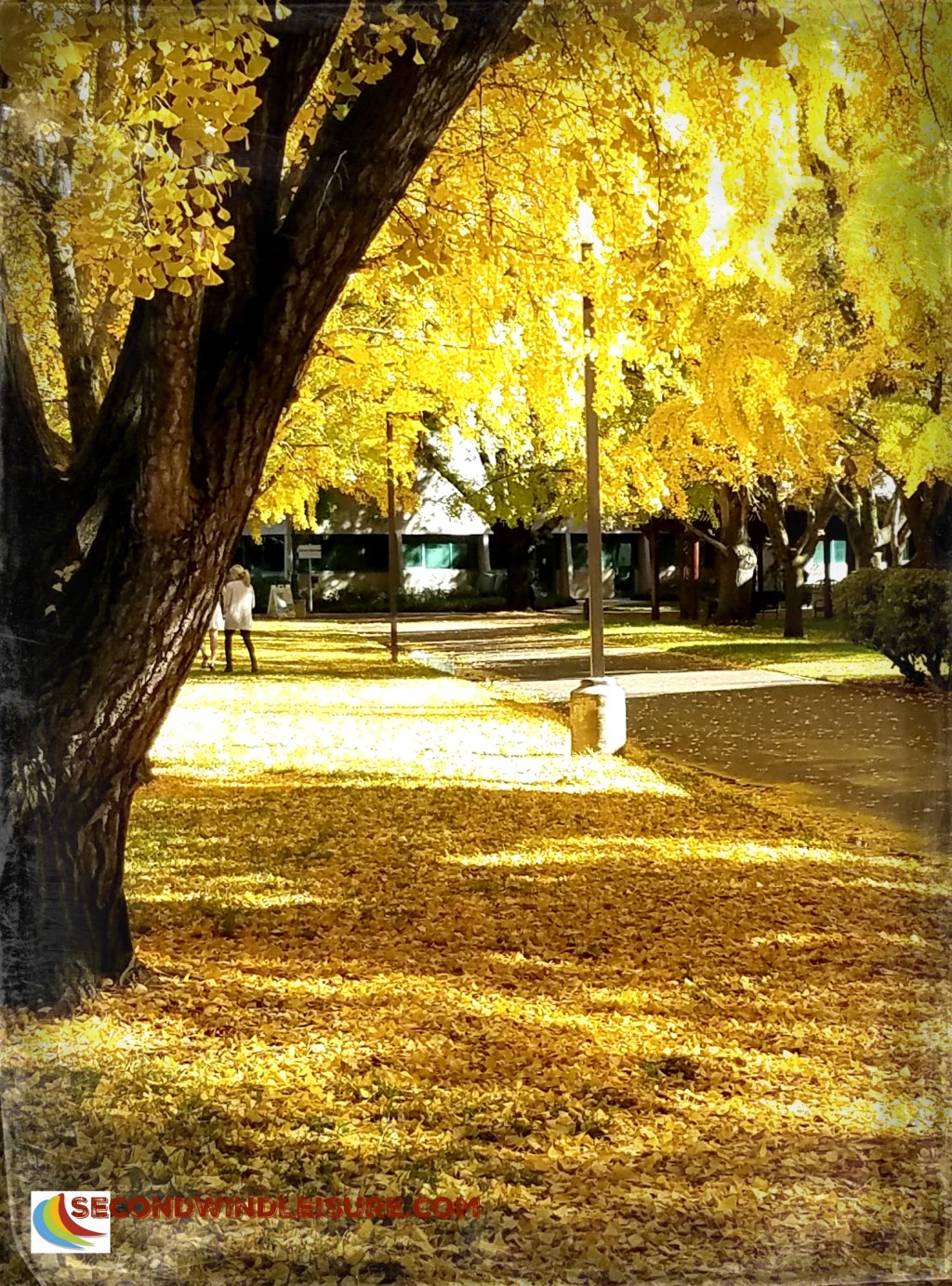 Wordless Wednesday: Just&nbsp;Walking