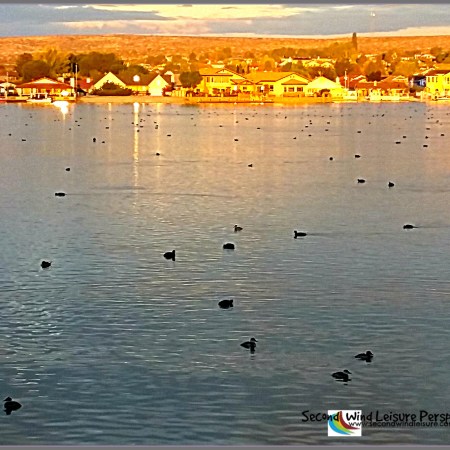 Finding Serenity in a Desert Sunrise