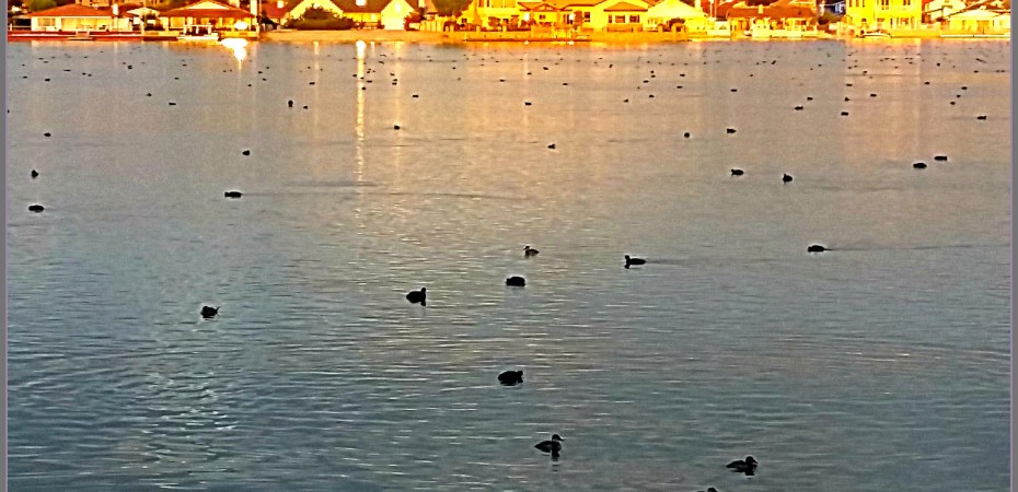 Finding Serenity in a Desert Sunrise