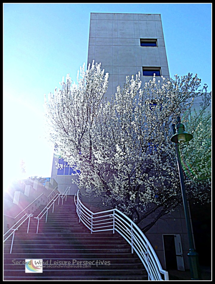 More steps to education