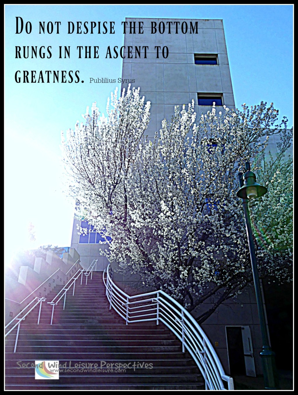 Ascending Steps to&nbsp;Greatness