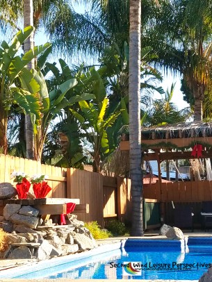 Sitting by the Pool in December