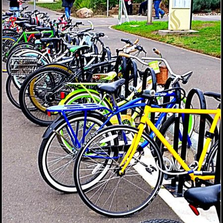 student bicycles line the sidewalk