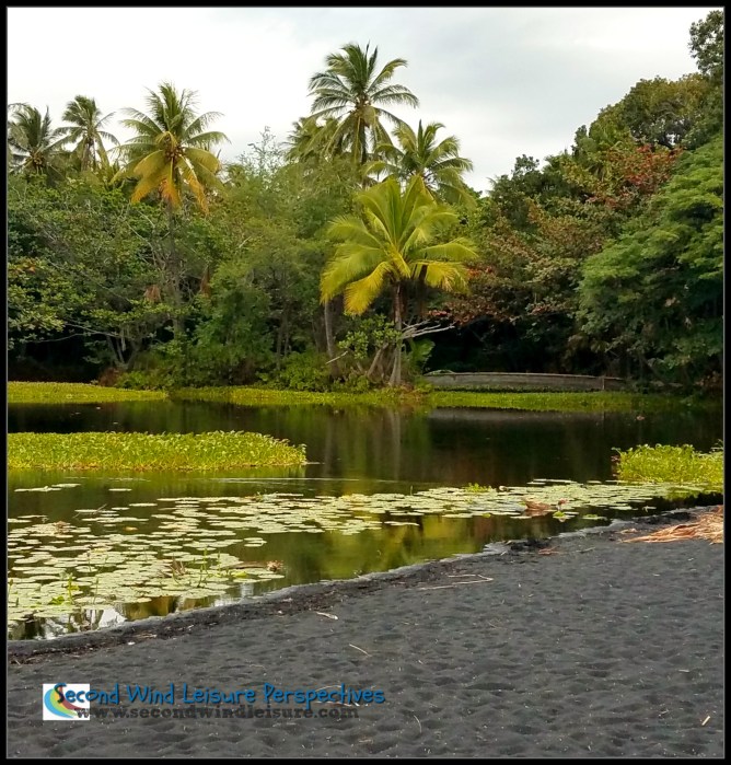 Black sand and lush palms