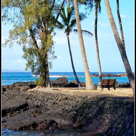 Chair at Hilo Bay