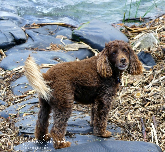 Aero loves going to the delta