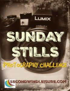SundayStills_blogbanner