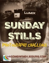 SundayStills_blogbanner
