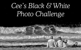 Black and white photo beach