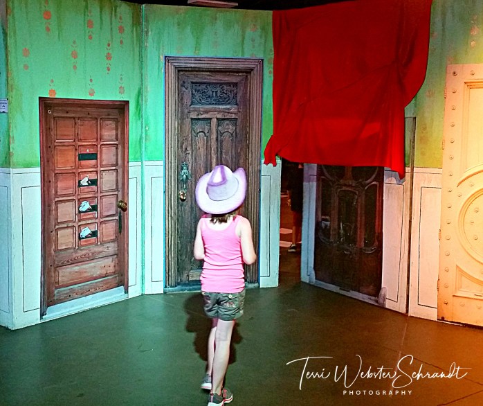 Del Mar Fair Doors