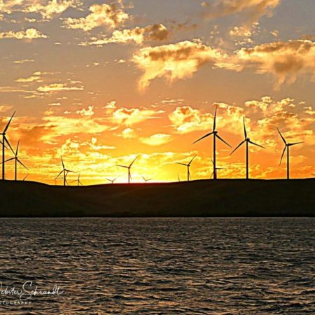 Windy clouds at sunset