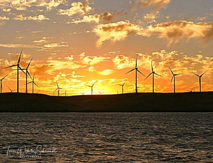 Windy clouds at sunset