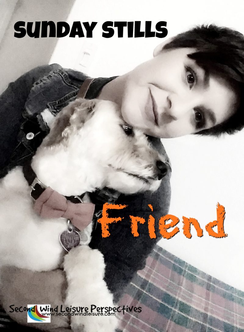 Sunday Stills: You’ve Got a&nbsp;#Friend