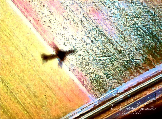Jet Shadow