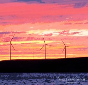 pink sunset over delta