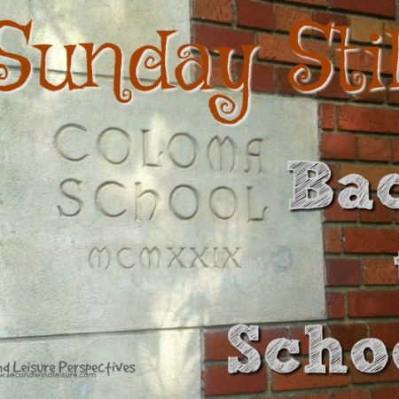 graphic for back to school