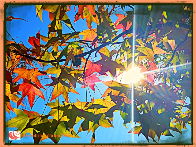 Red and green fall leaves