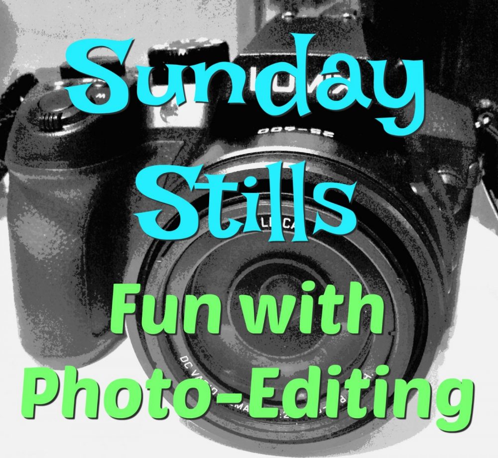 Sunday Stills: Fun with&nbsp;#Photo-Editing
