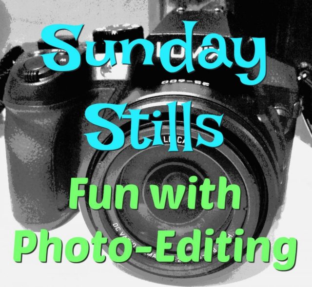 Words and camera