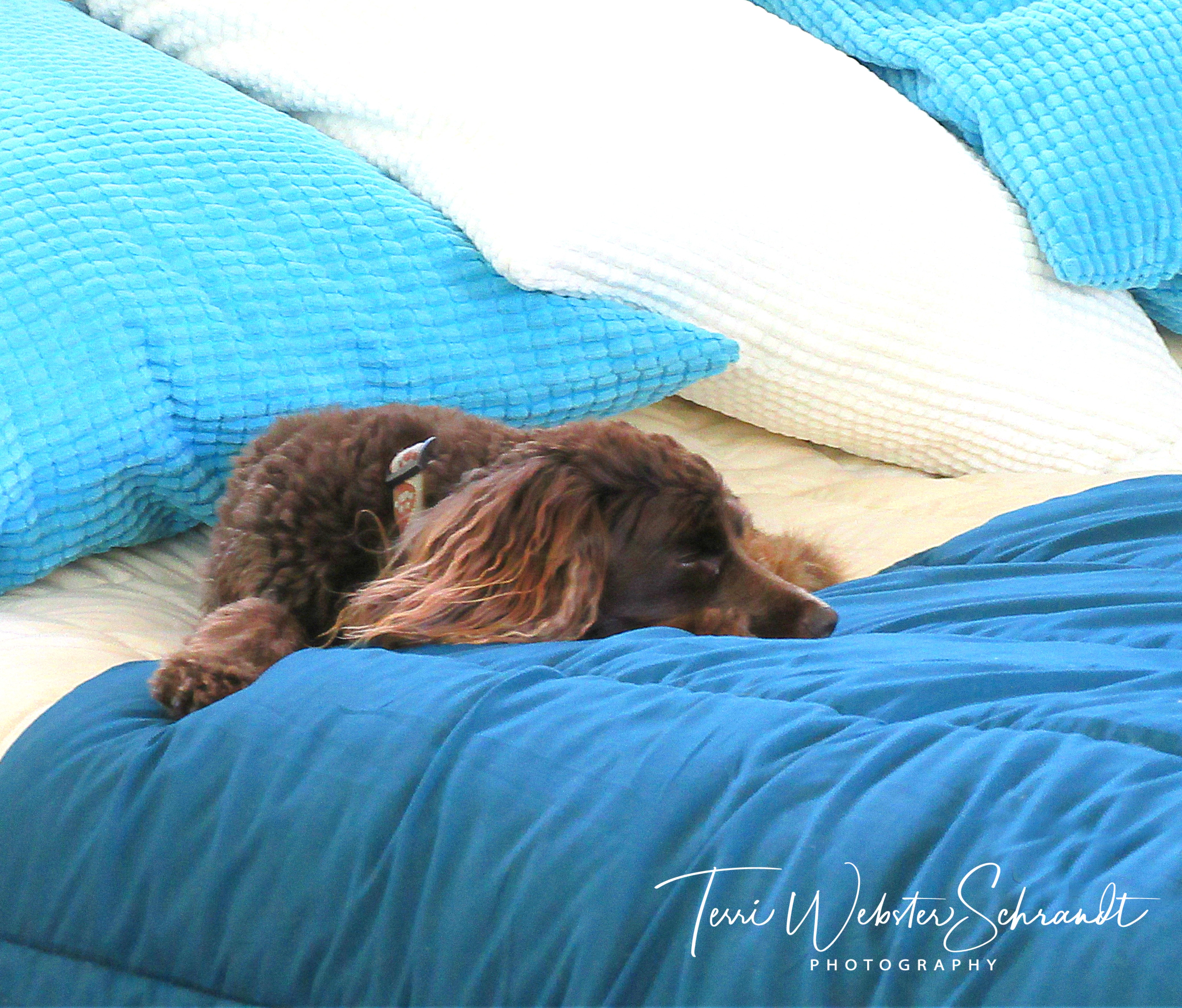 Textures of Aero and bed linens