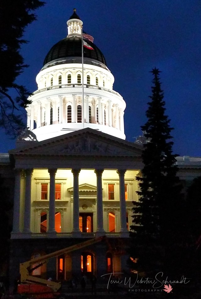 Cal State Capitol