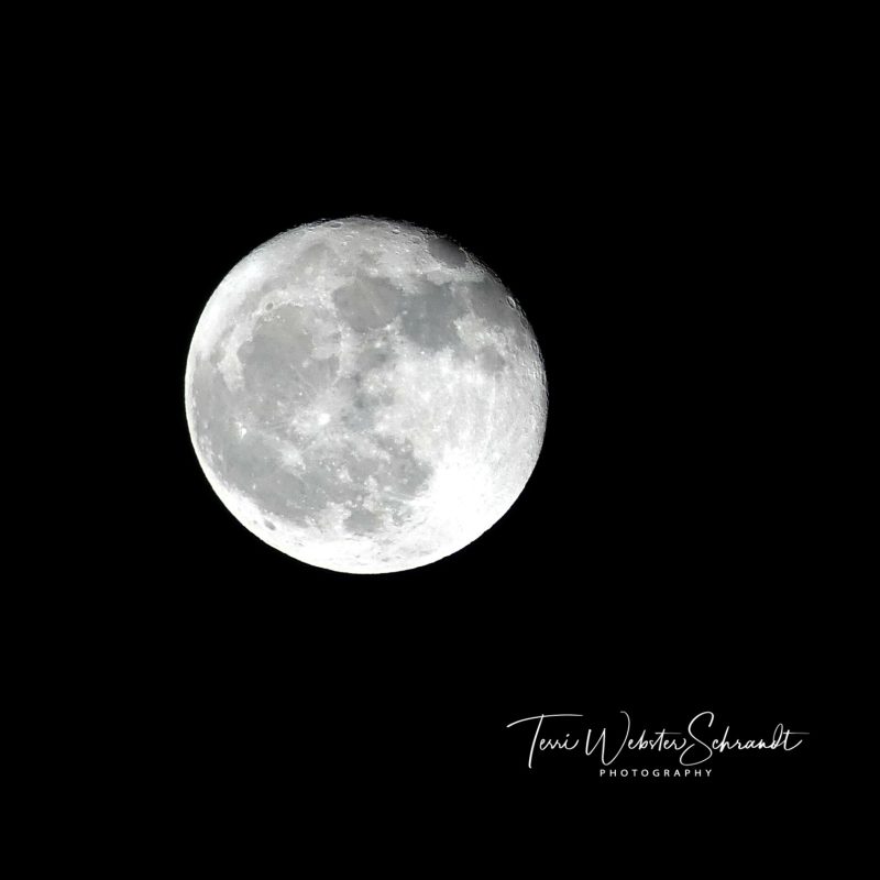 Winter Solstice Moon