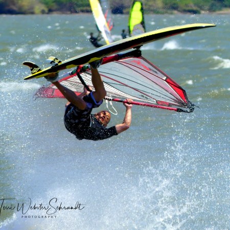 Windsurfer