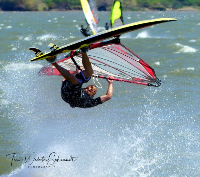 Windsurfer