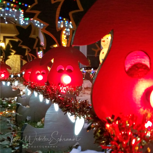 red piggy lights