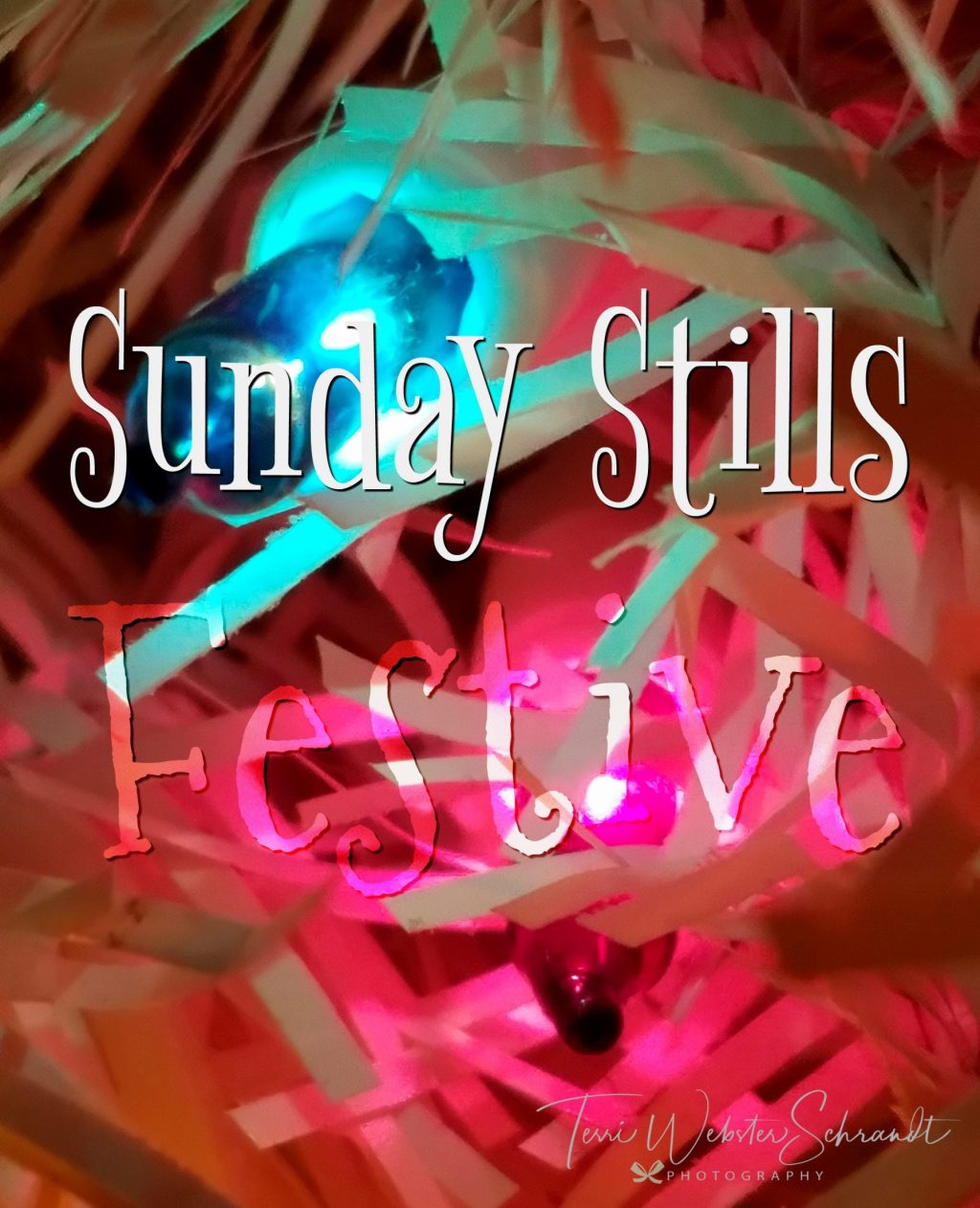 Sunday Stills: #Festive!