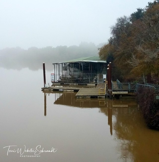 FLoating Dock Reflections