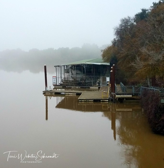 FLoating Dock Reflections