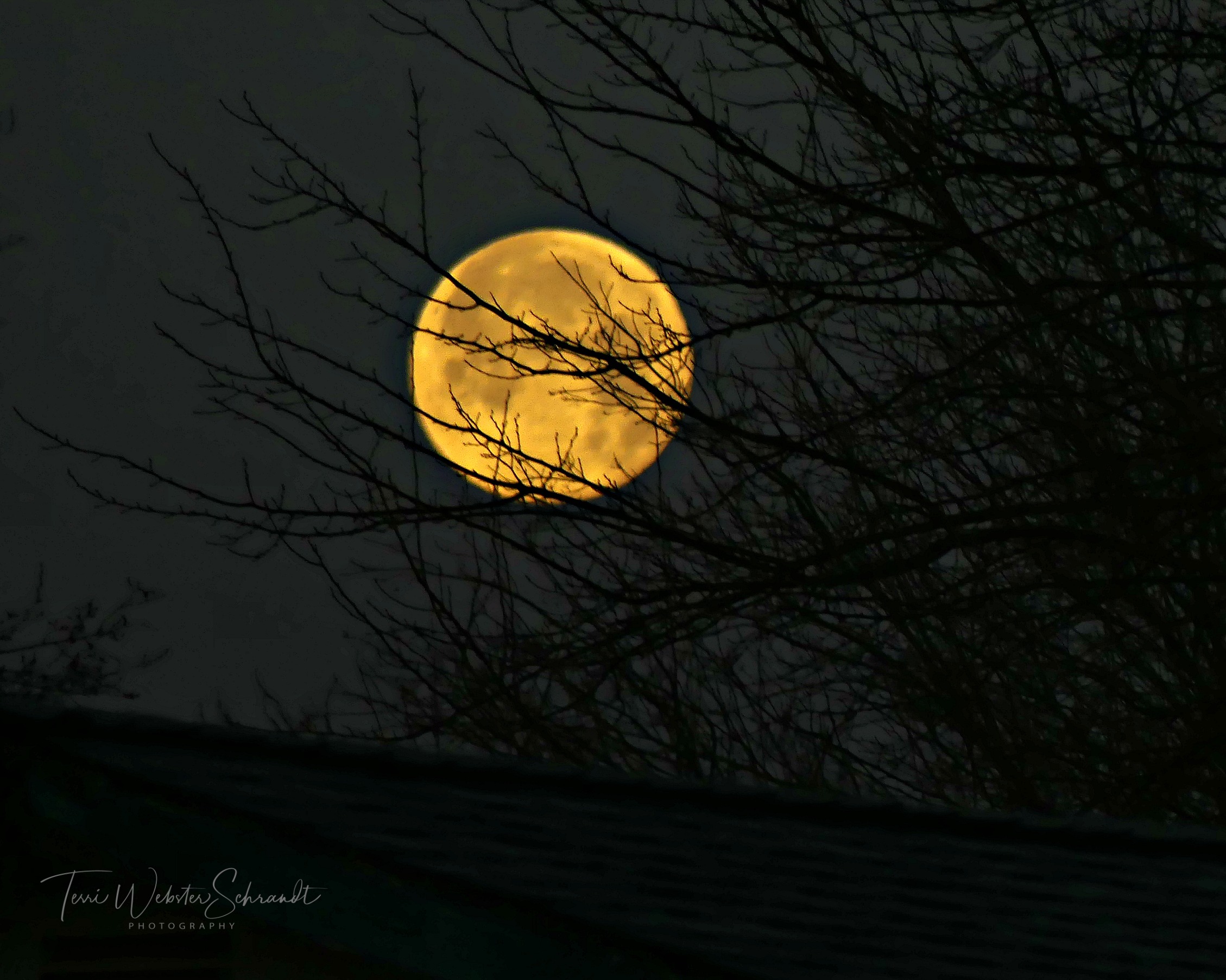 January Wolf Moon 2019