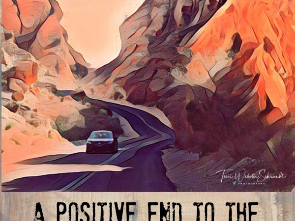 VIva Las VEgas Graphic