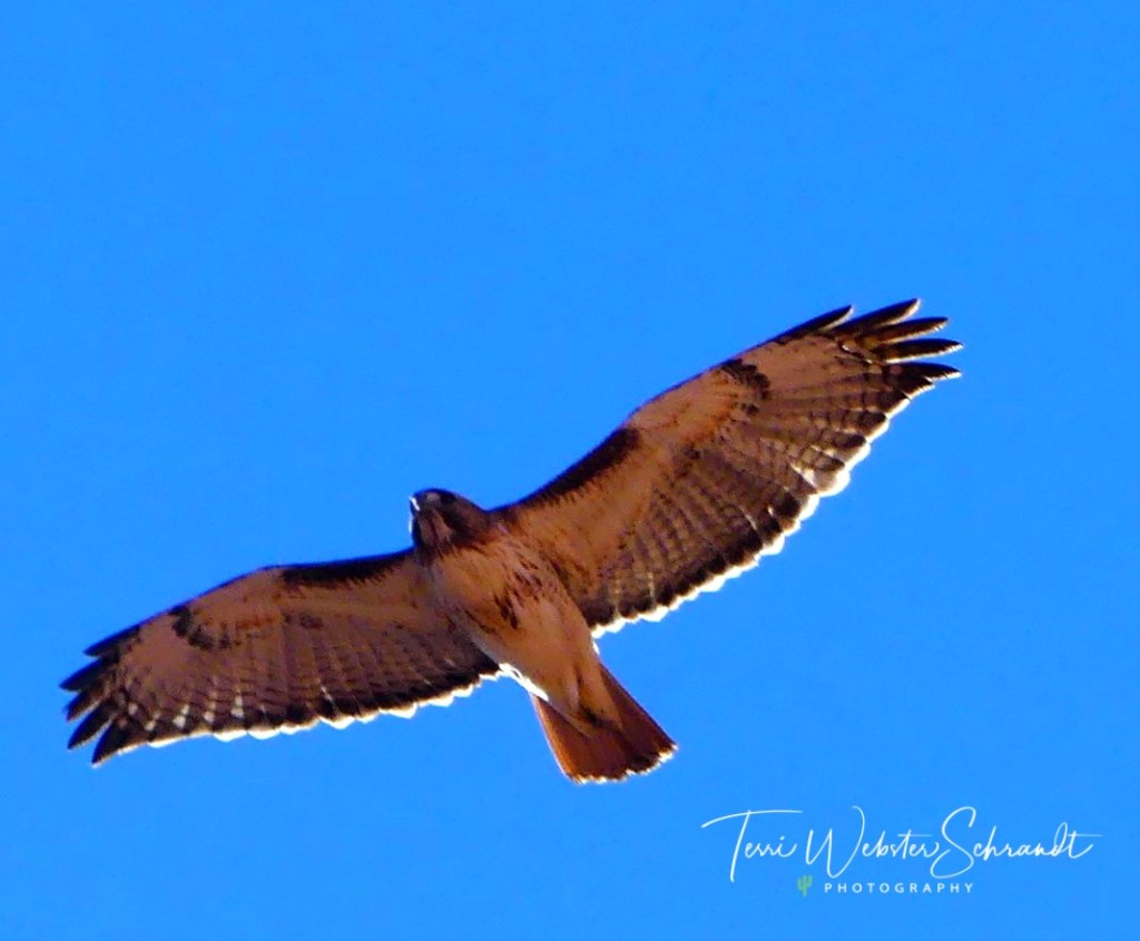 Sunday Stills: High&nbsp;#Flight